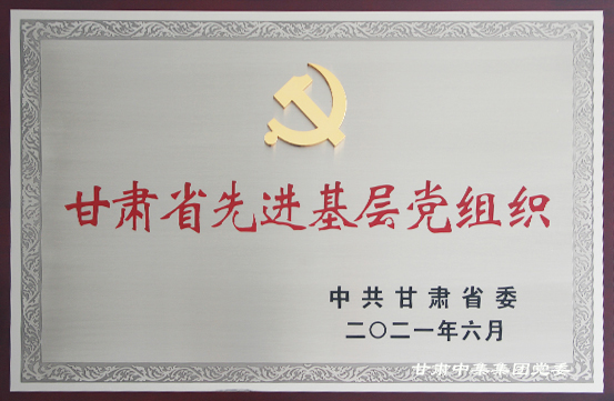 建党100周年之际甘肃中集理想国际写字楼联合党支部喜获殊荣